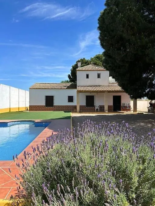 Luxuryvilla Susan Seville